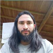 Historiador con capacidad de impartir clases de ciencias sociales a niños de todas las edades